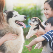 針對早期英語學習者的拼寫學習建議