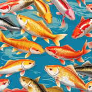 中文中的動物：鯉魚